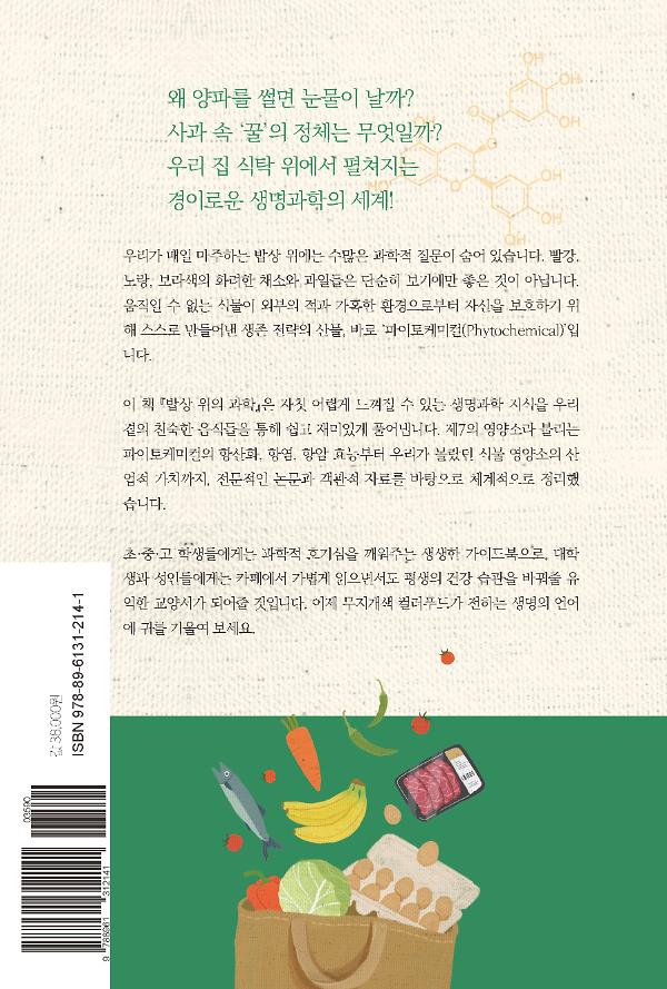 2D 뒤표지