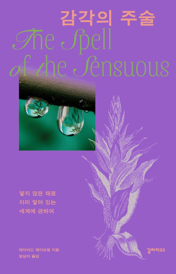 감각의 주술_책표지