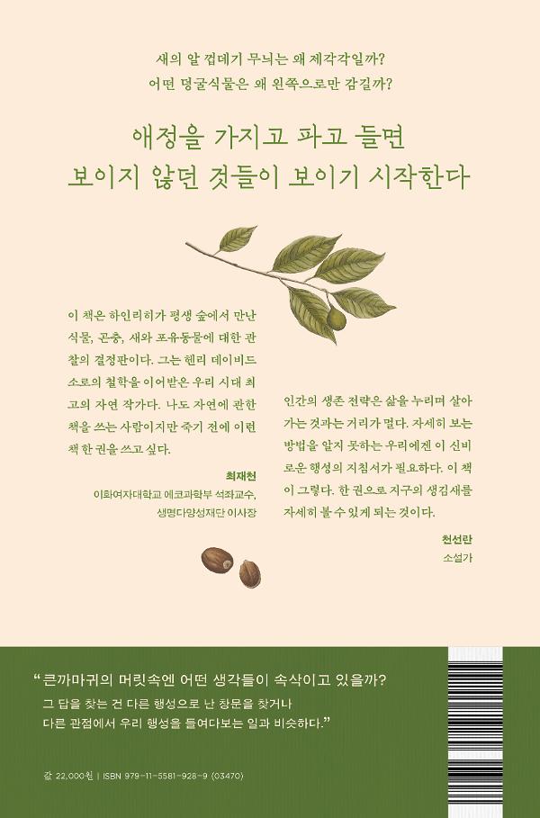 2D 뒤표지