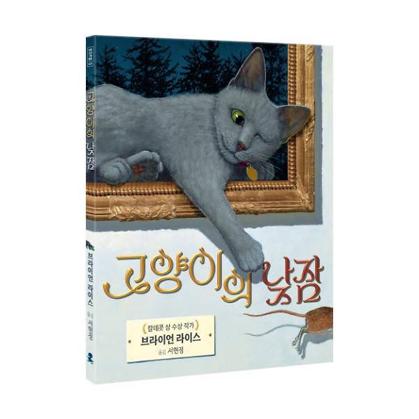 입체표지(3D 표지)