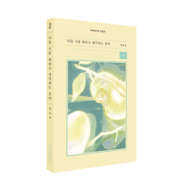 입체표지(3D 표지)
