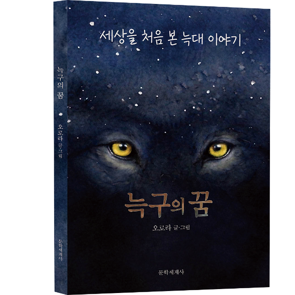 입체표지(3D 표지)