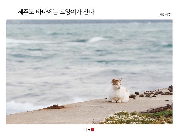 제주도 바다에는 고양이가 산다_책표지