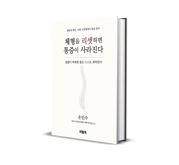 입체표지(3D 표지)