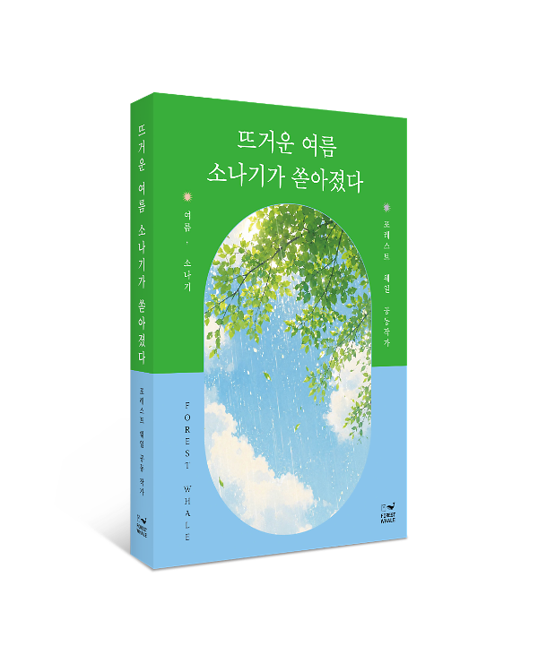 입체표지(3D 표지)