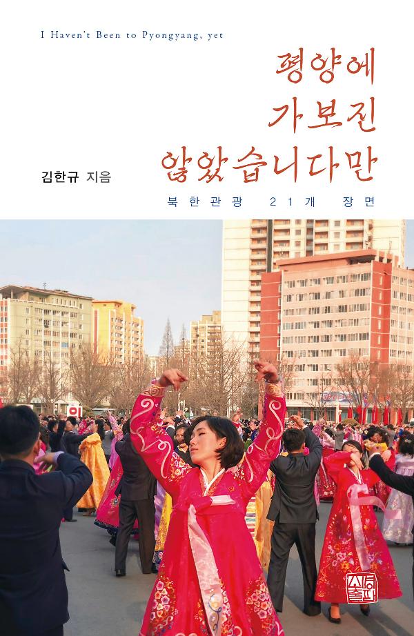 평양에 가보진 않았습니다만_책표지