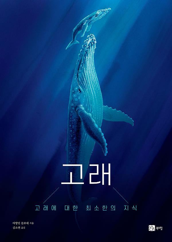 고래_책표지
