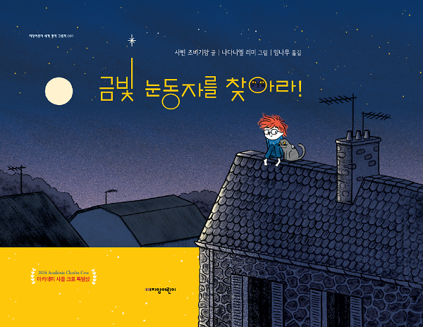 금빛 눈동자를 찾아라!_책표지