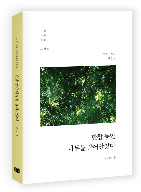 한참 동안 나무를 끌어안았다 - 입체표지(3D 표지)