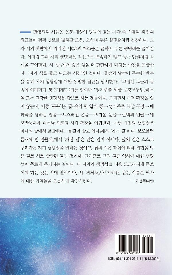 별이 빛나는 느티나무 - 2D 뒤표지