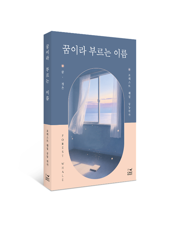 꿈이라 부르는 이름 - 입체표지(3D 표지)