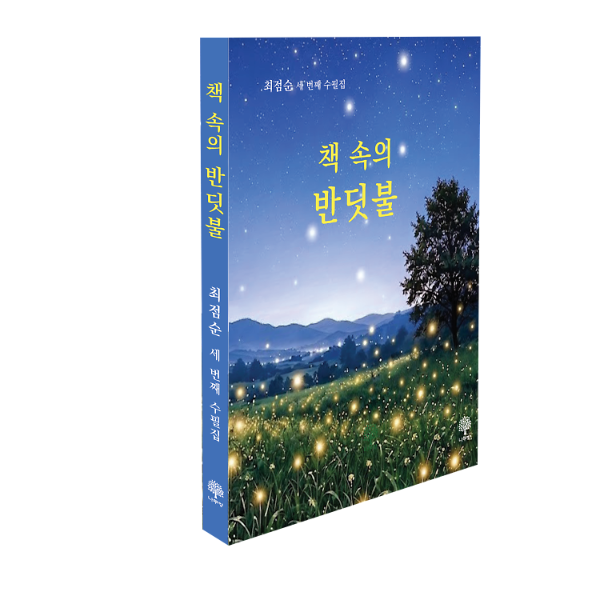 책 속의 반딧불 - 입체표지(3D 표지)
