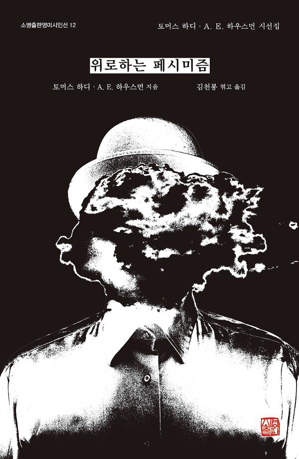 위로하는 페시미즘_책표지