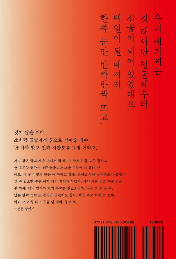 오드 아이 - 2D 뒤표지