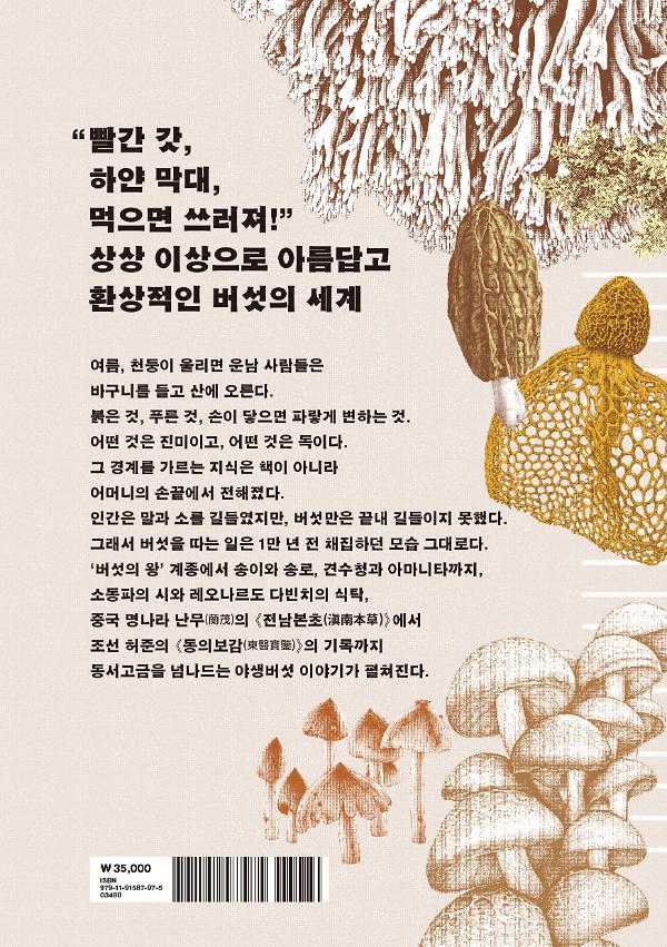버섯을 찾아 숲으로 - 2D 뒤표지