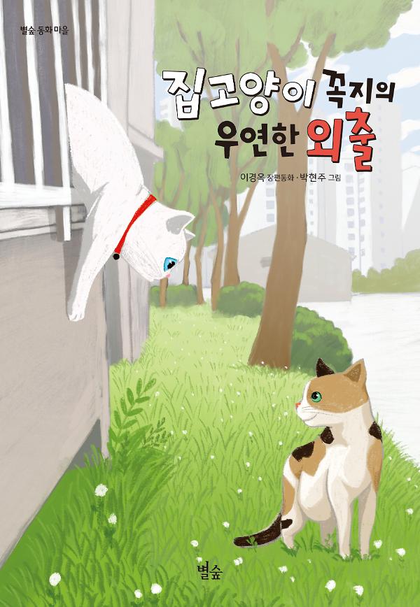 평면표지(2D 앞표지)