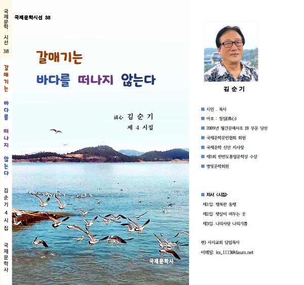 갈매기는 바다를 떠나지 않는다_책표지