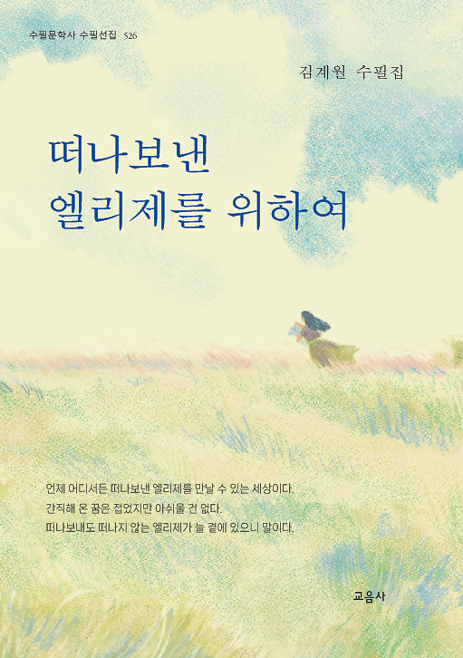 떠나보낸 엘리제를 위하여_책표지