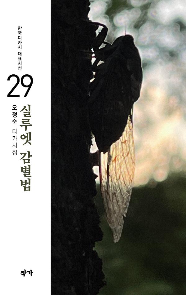 평면표지(2D 앞표지)