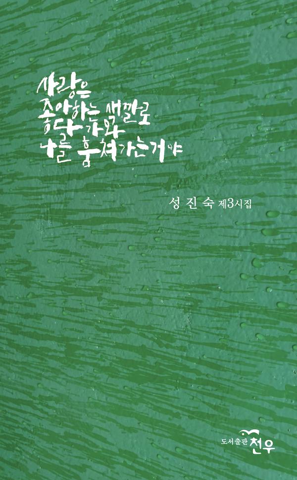 사랑은 좋아하는 색깔로 다가와 나를 훔쳐가는거야_책표지