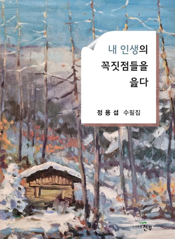 내 인생의 꼭짓점들을 읊다_책표지